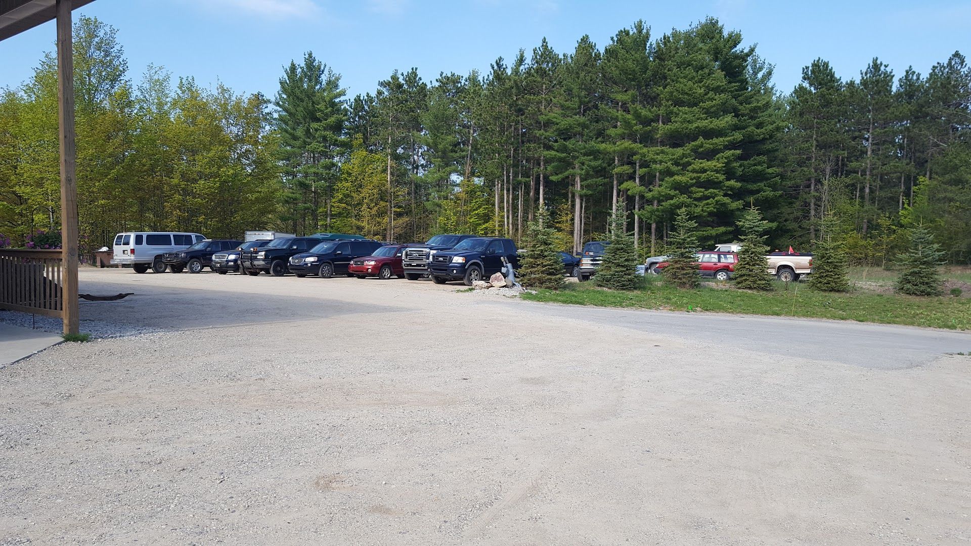 Gravel parking lot with various cars parked. Tall trees in the background under a blue sky. | MDS Automotive