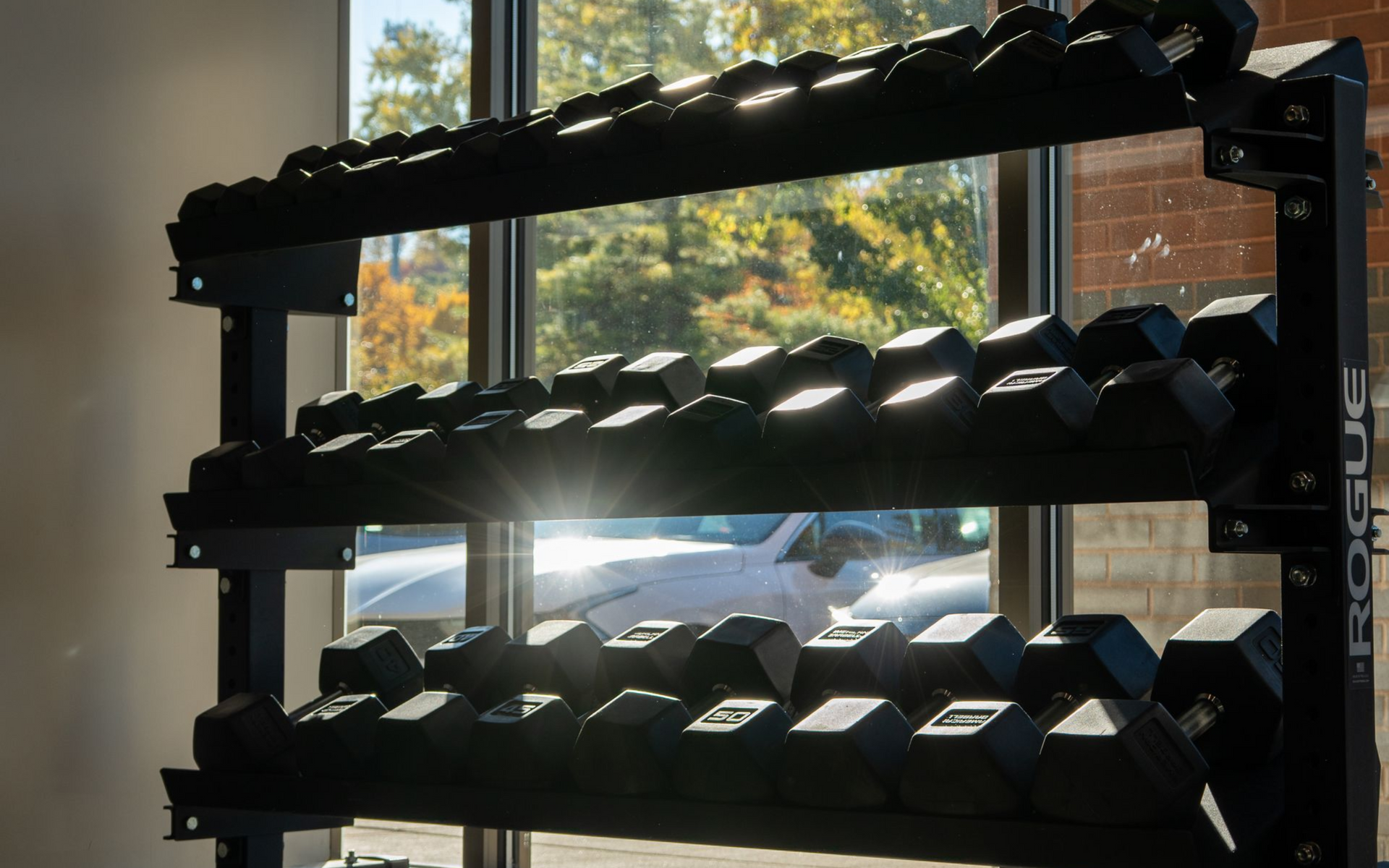Weight rack with dumbbells in a gym, sunlight shining through a window.