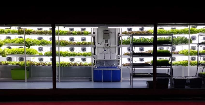 Shipping Container Farms