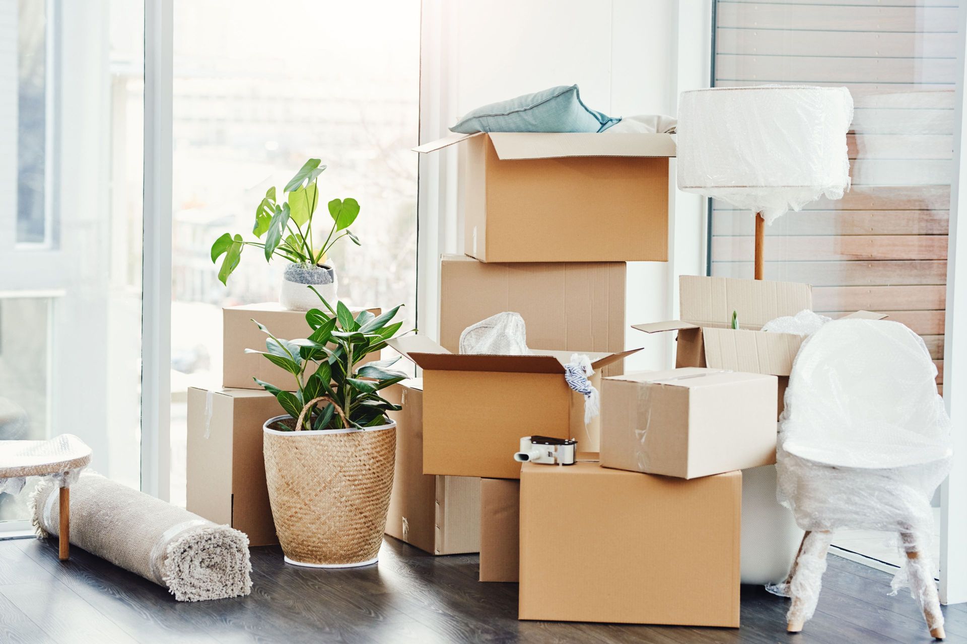 Boxes stacked indoors, preparing for a move. A potted plant sits in front, near a window.
