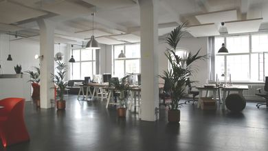 Open-plan office with white columns, dark floor, desks, plants, and large windows.