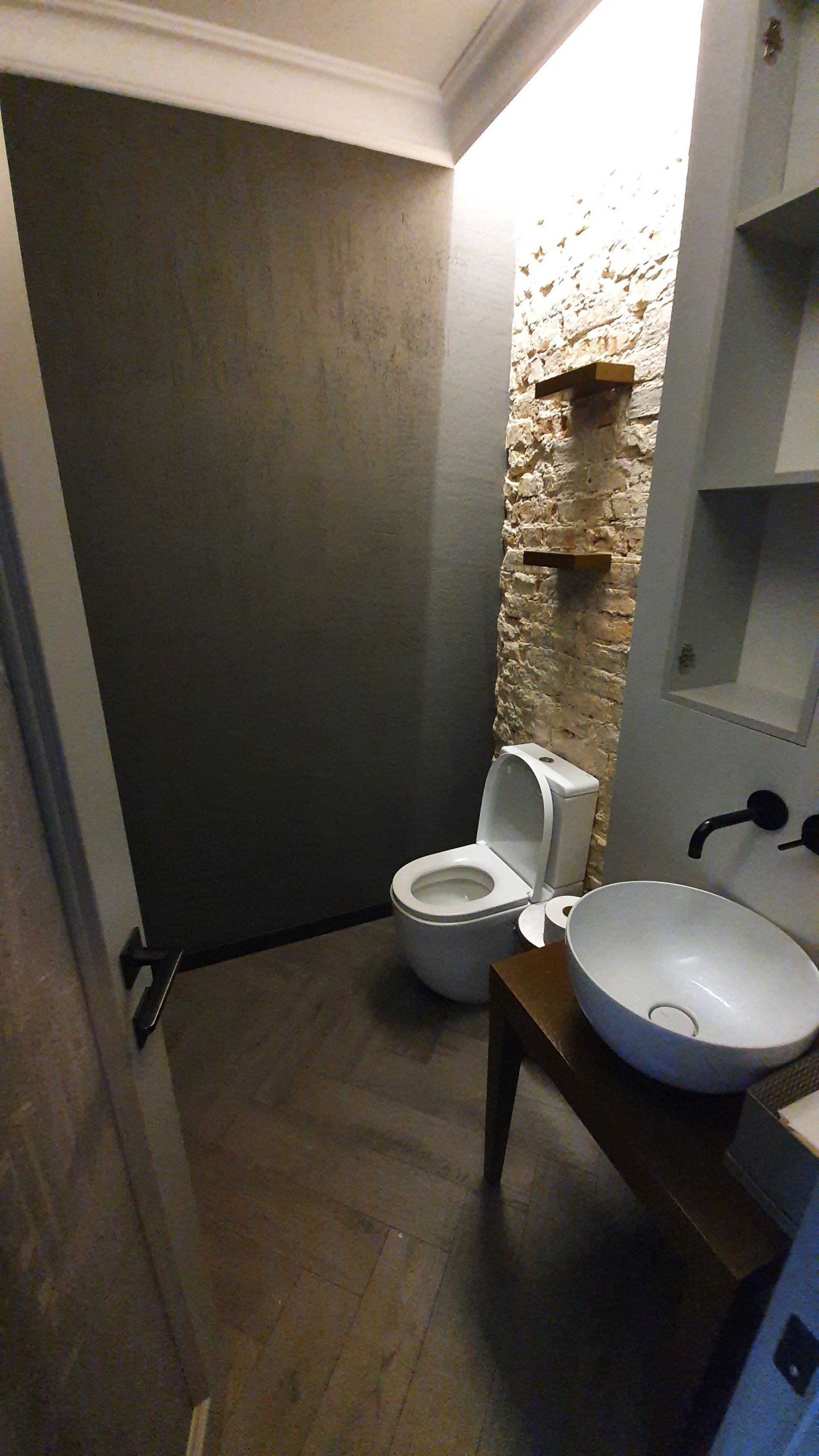 Vonios kambarys su tualetu, kriaukle ir dušu.