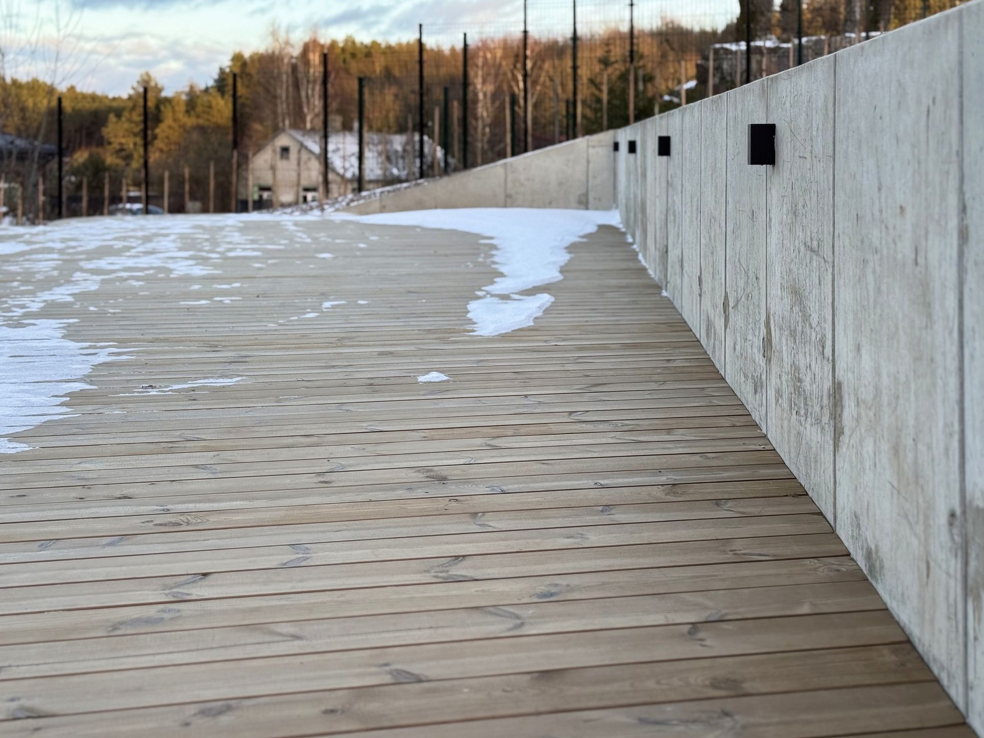 Medinis takas šalia betoninės sienos su sniegu ant žemės.