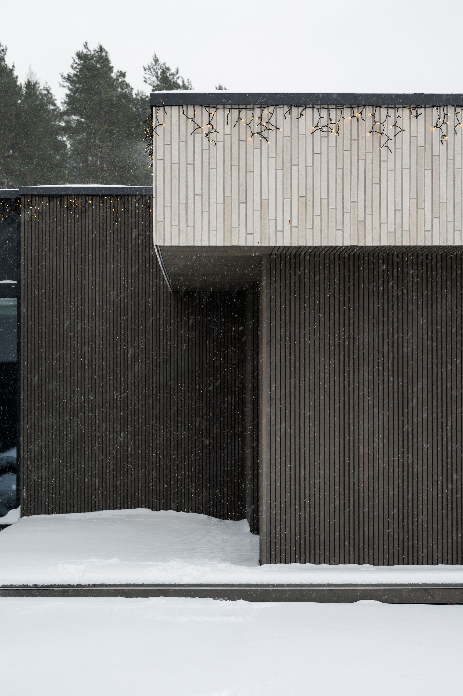 Modern building exterior with vertical wooden siding, snow falling.