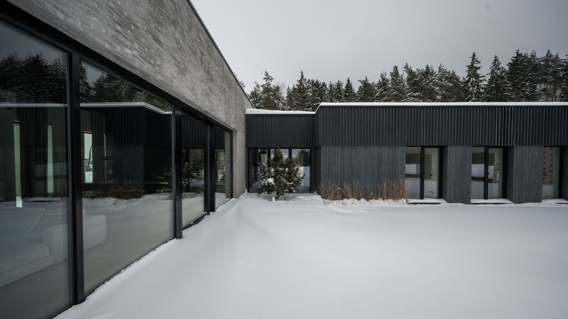 Namas sniege su medžiais fone