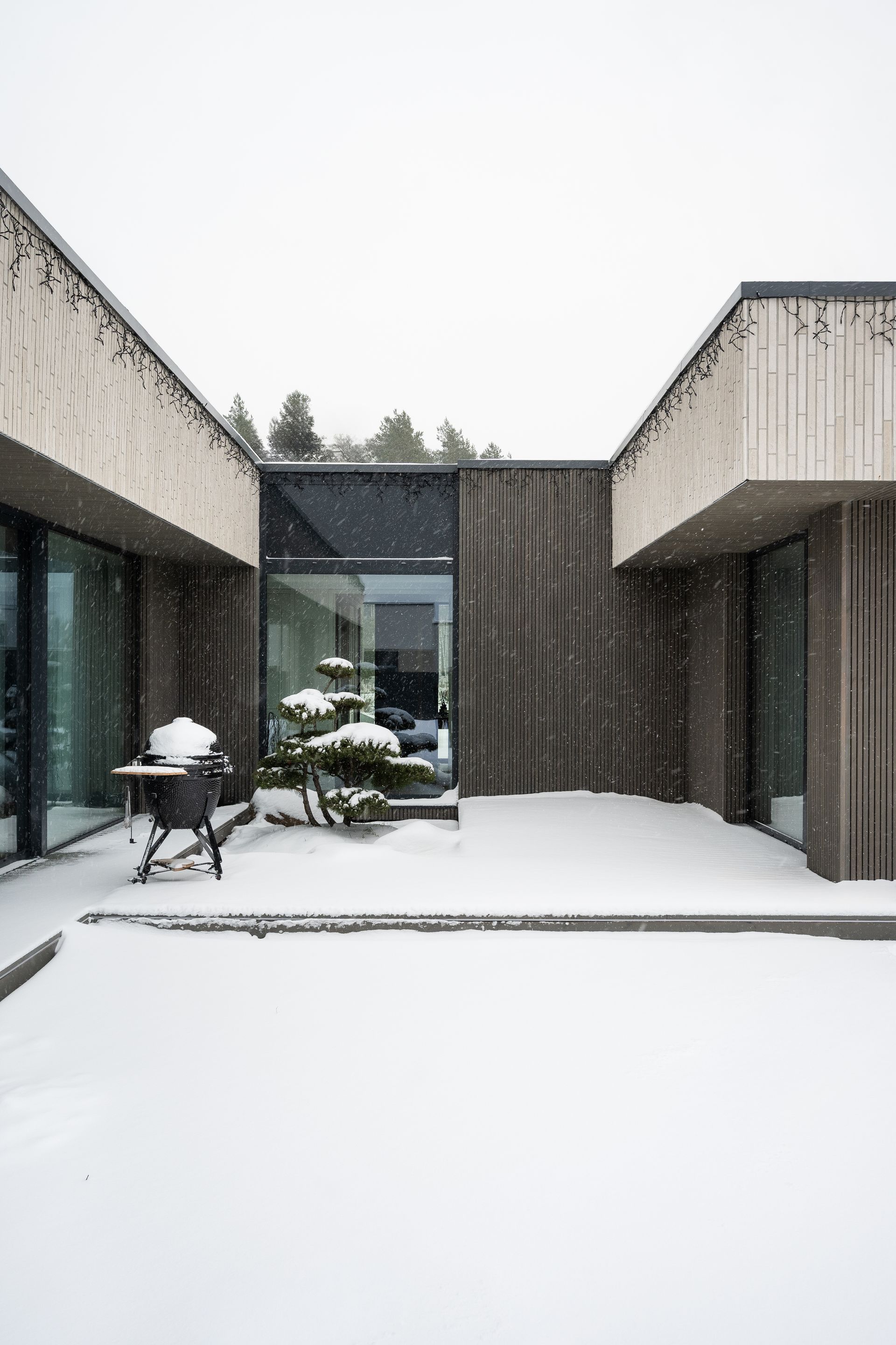 Snowy courtyard of a modern building; dark wooden walls, glass doors, and a small table and plant covered in snow.