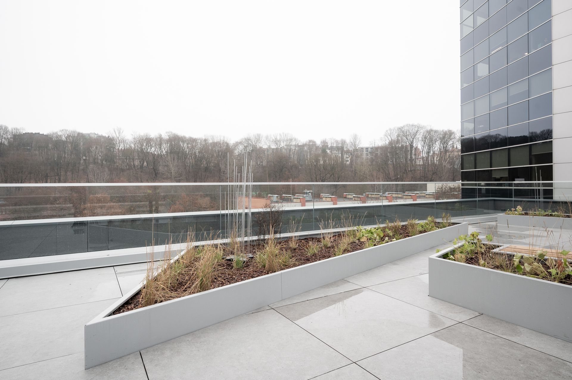Rooftop with planters, clear railings, and a modern building against a cloudy sky.