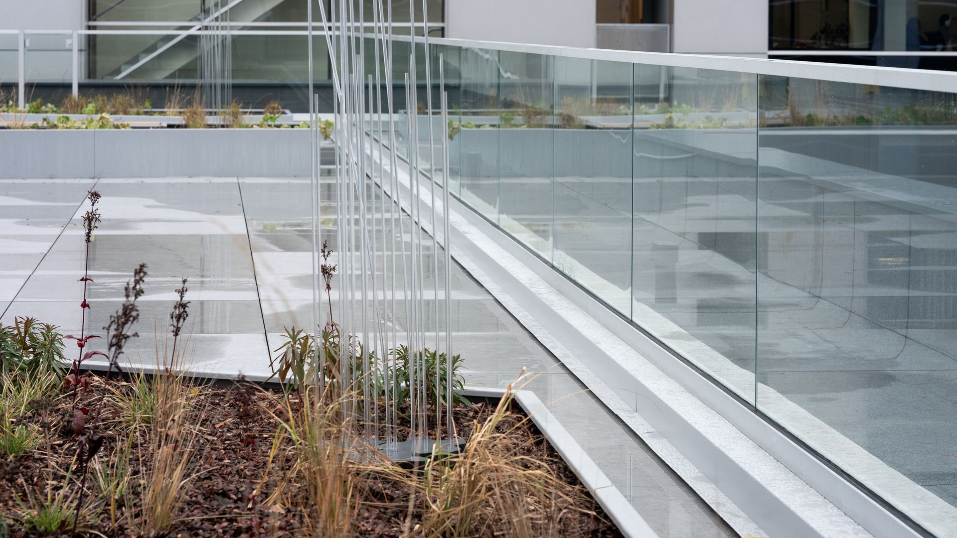 Modern building rooftop with glass railing, plants, and metal structures.
