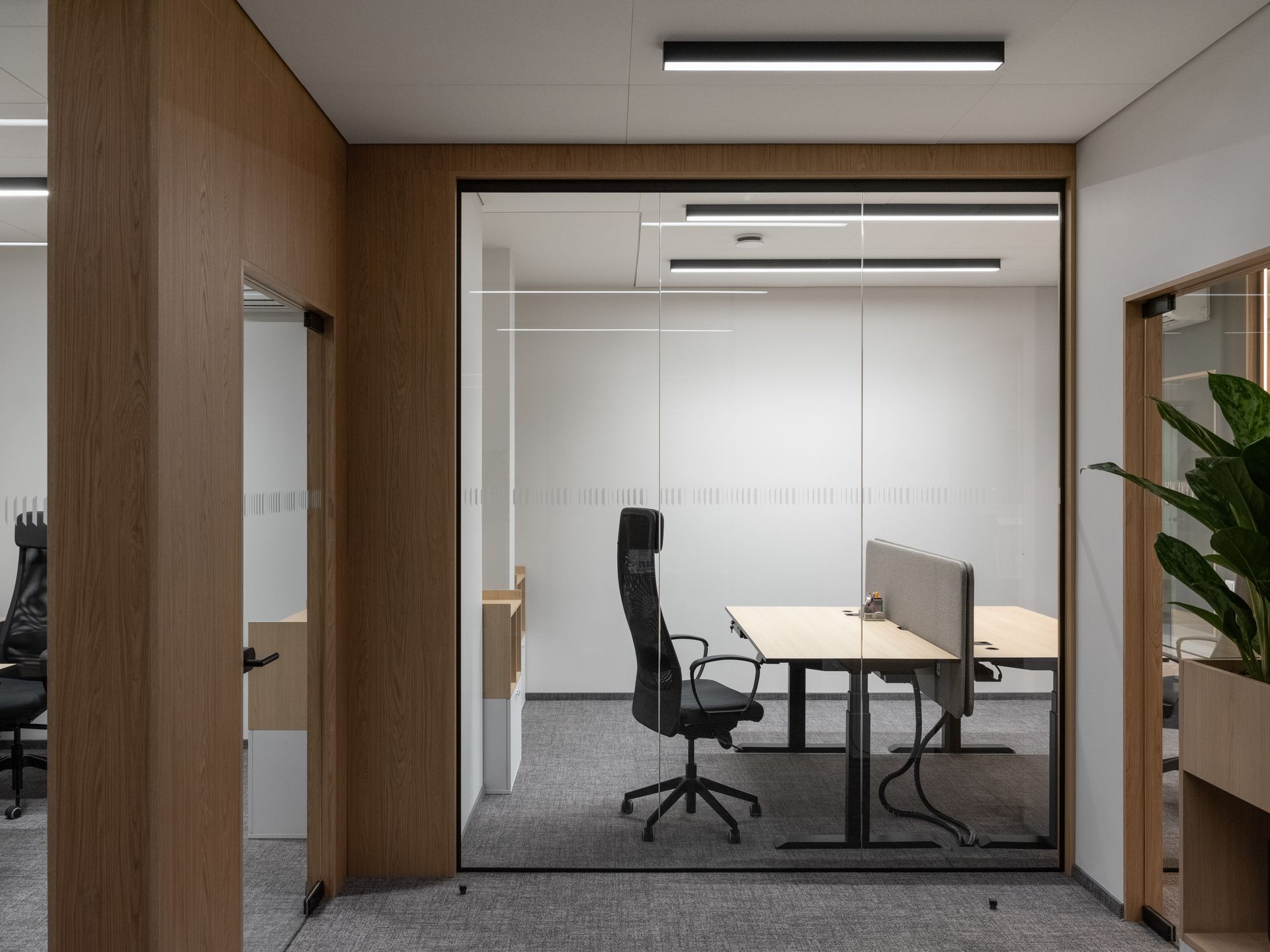 Kambarys su stikline siena ir jame esančia kėde.