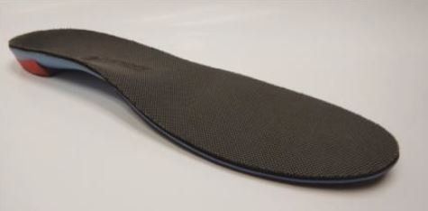 Fisioterapia in palestra