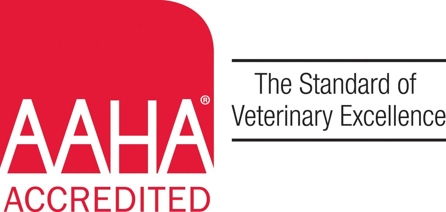AAHA Accredited Vet in Allen, TX