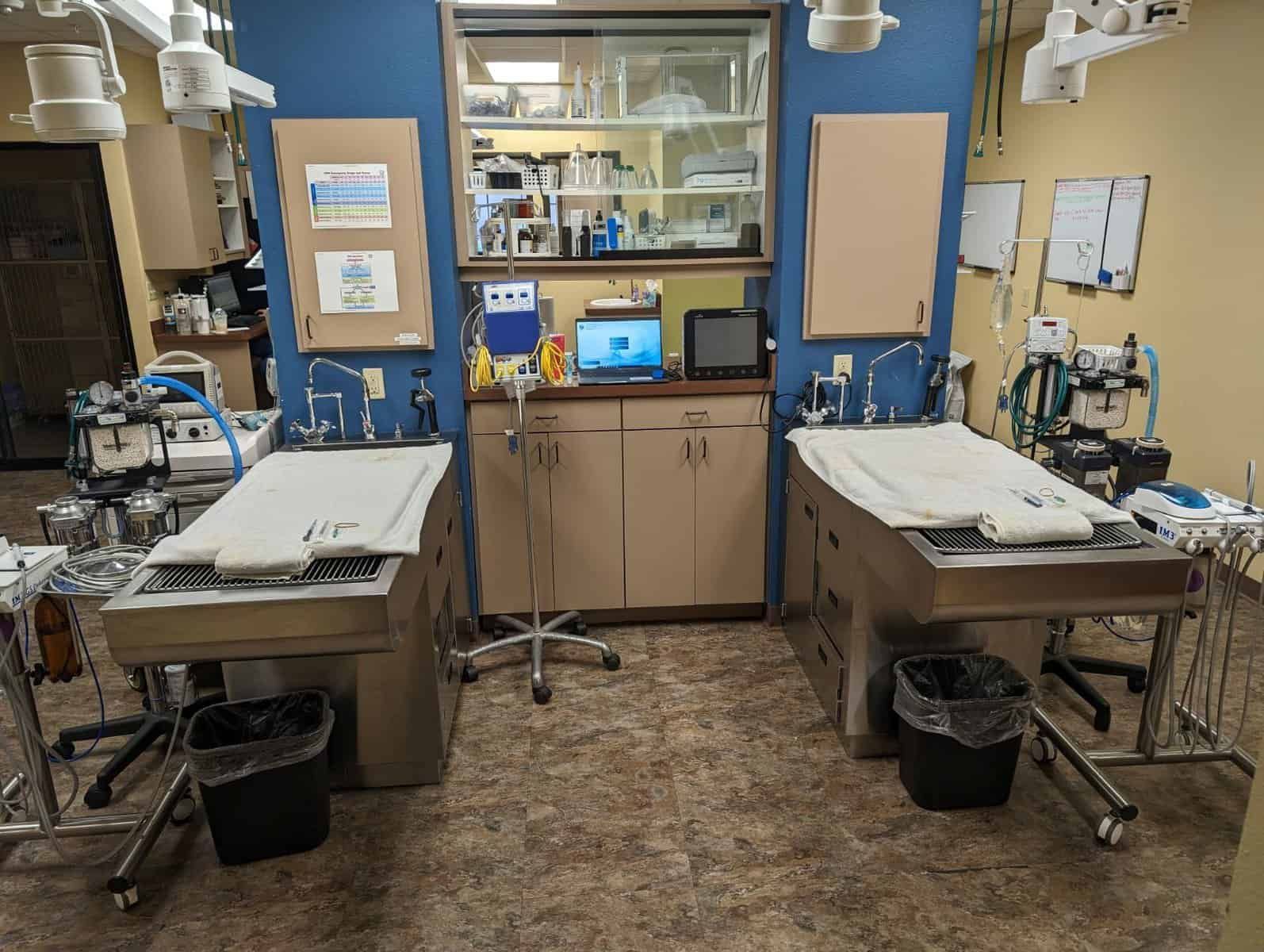 tables where dog and cat dental cleanings take place