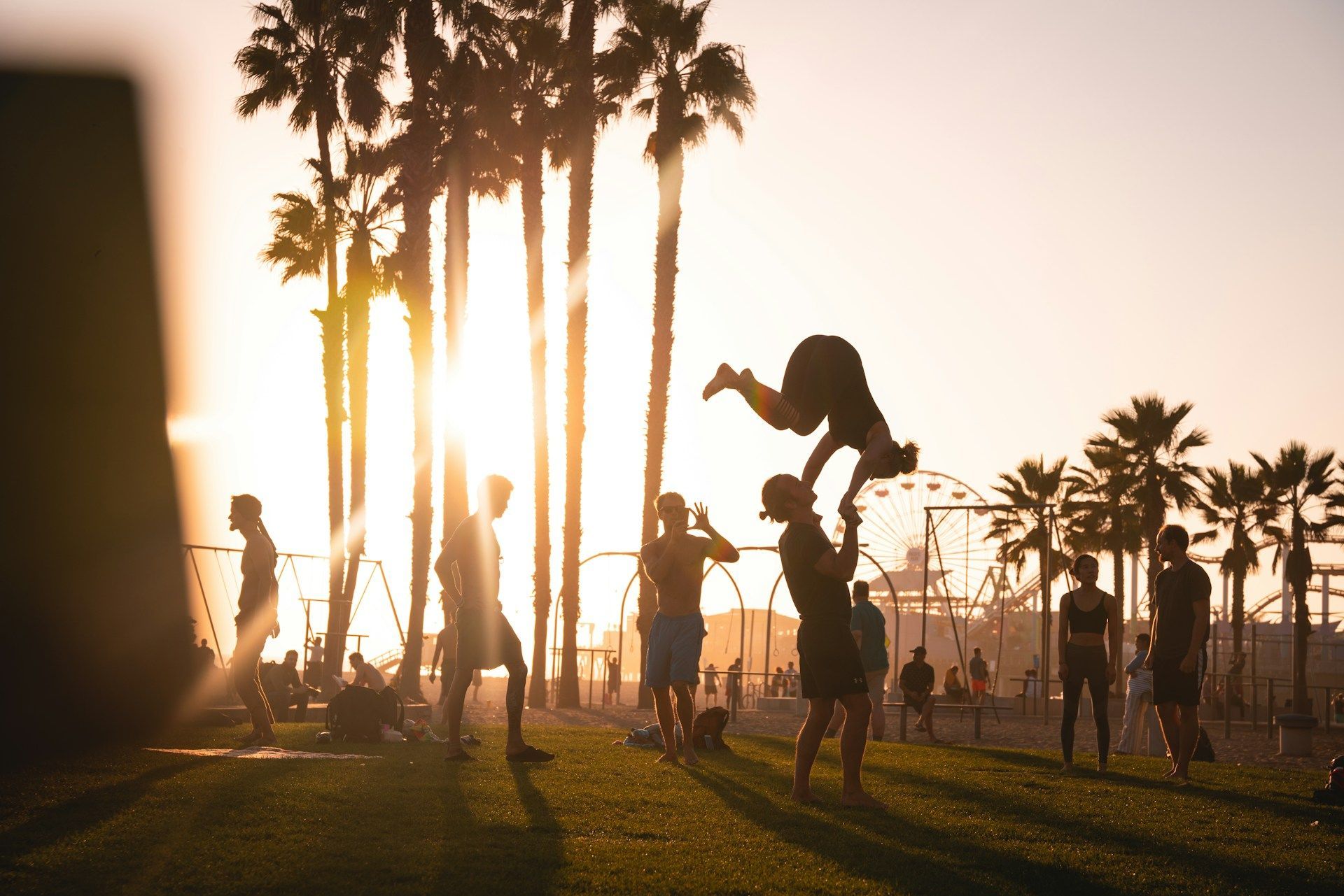 A group of people are playing in a park with the sun shining through the palm trees