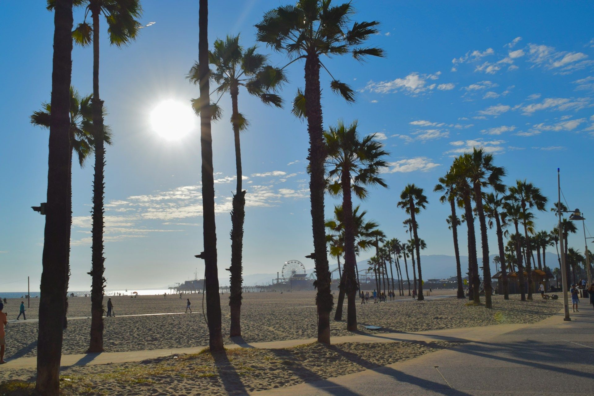 The sun is shining through the palm trees on the beach