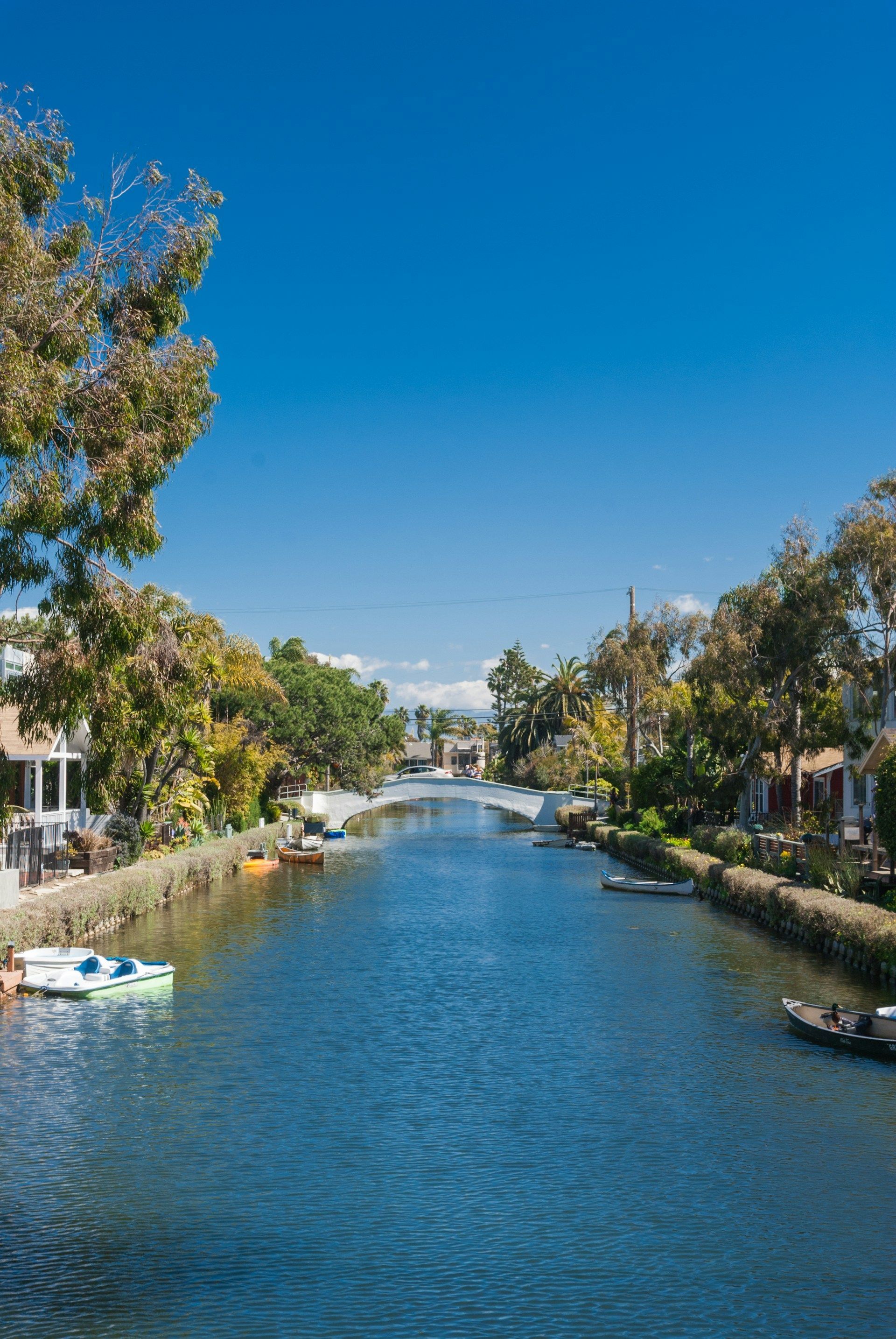 A river surrounded by trees and houses on a sunny day.