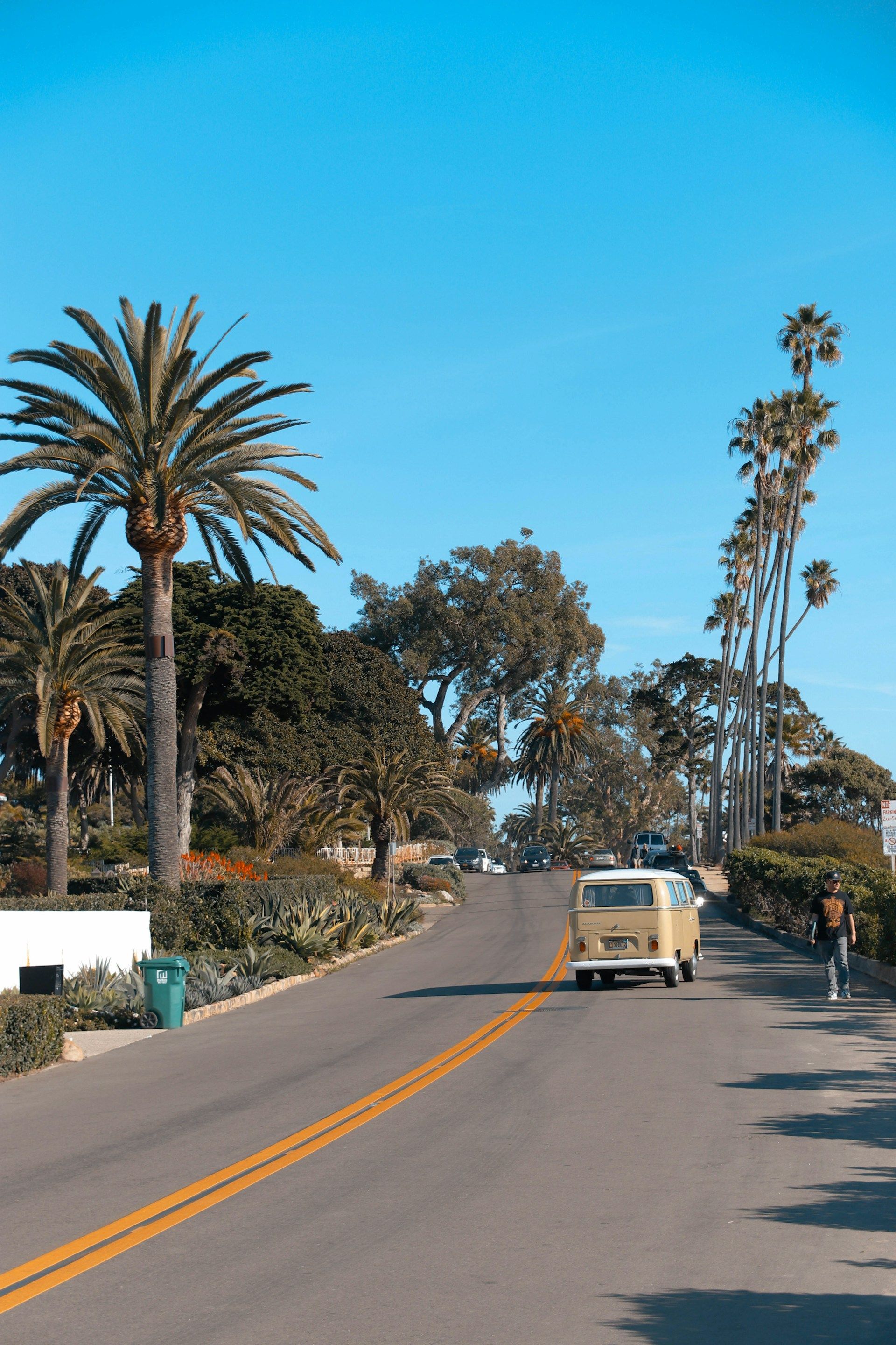 A van is driving down a street with palm trees on both sides.