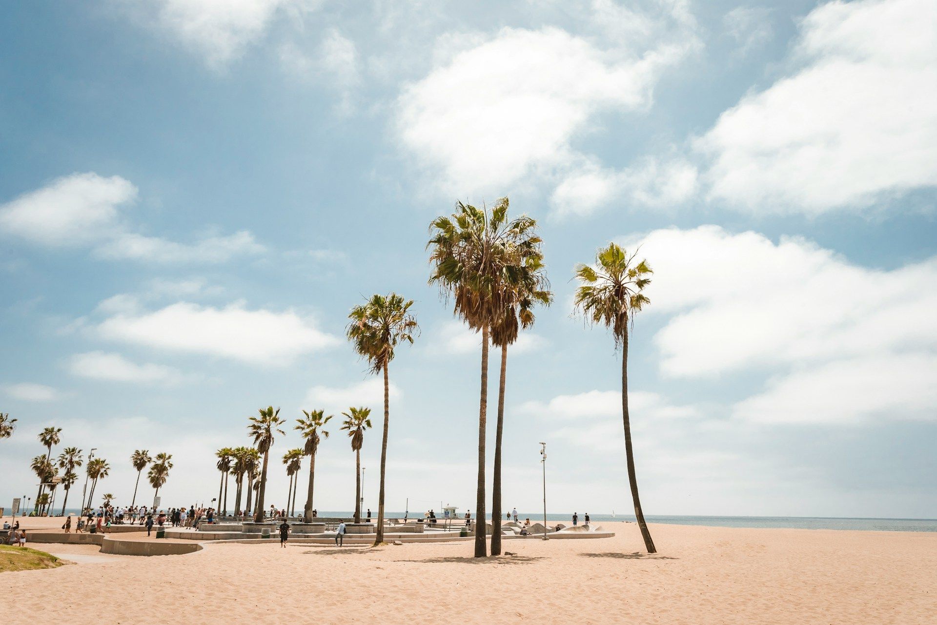 A row of palm trees on a sandy beach