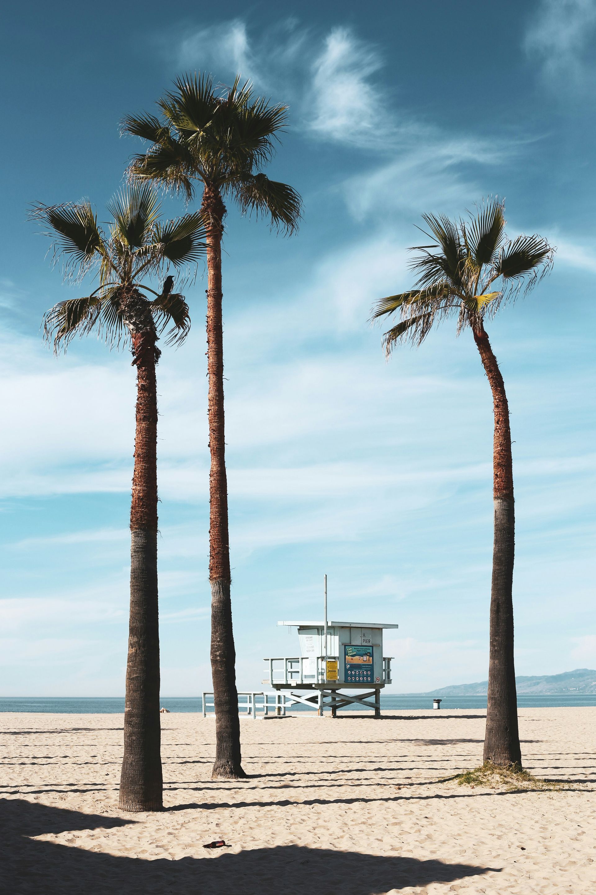 Three palm trees on a beach with a lifeguard tower in the background