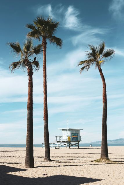Three palm trees on a beach with a lifeguard tower in the background