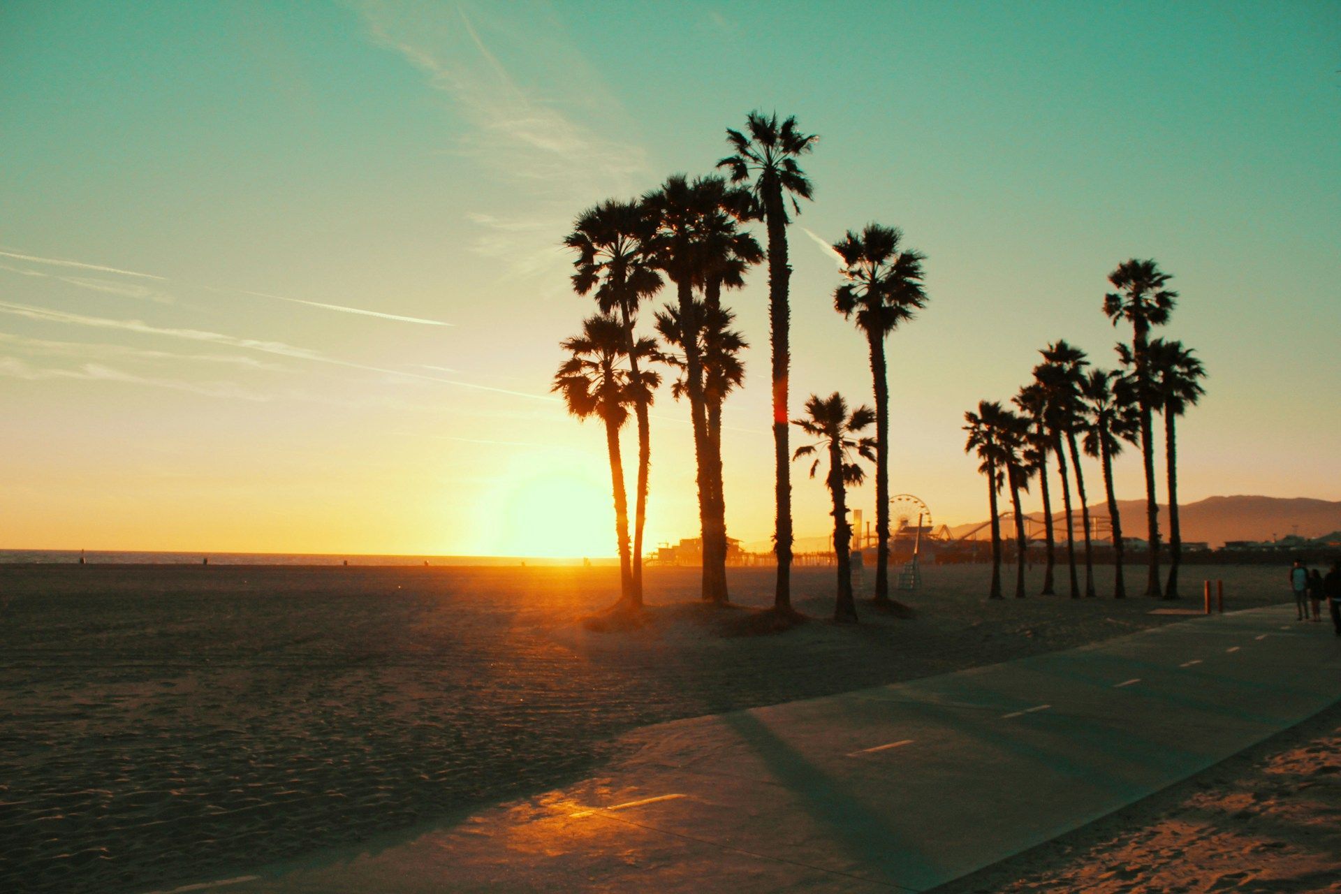 A row of palm trees on a beach at sunset