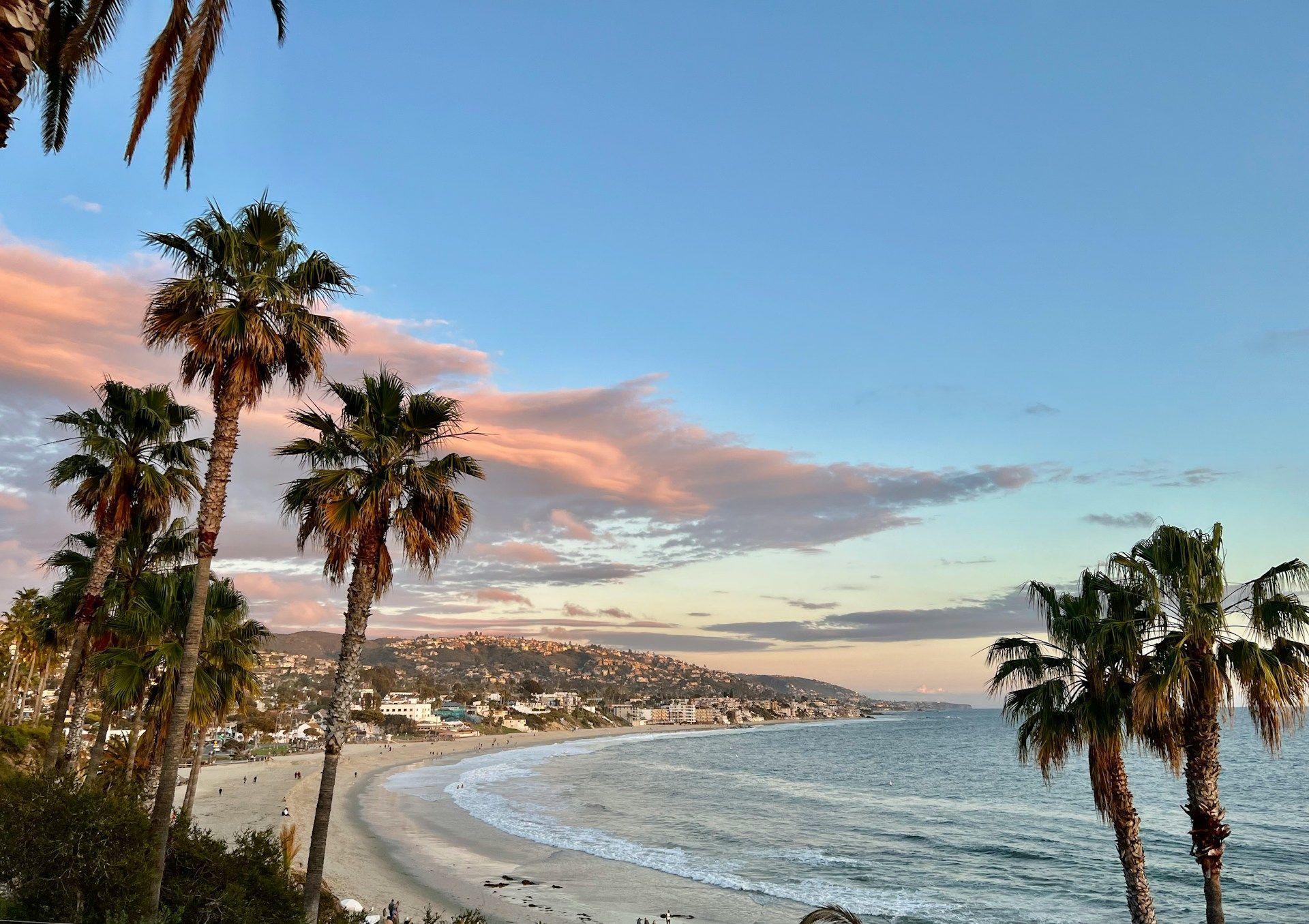 A beach with palm trees and a city in the background