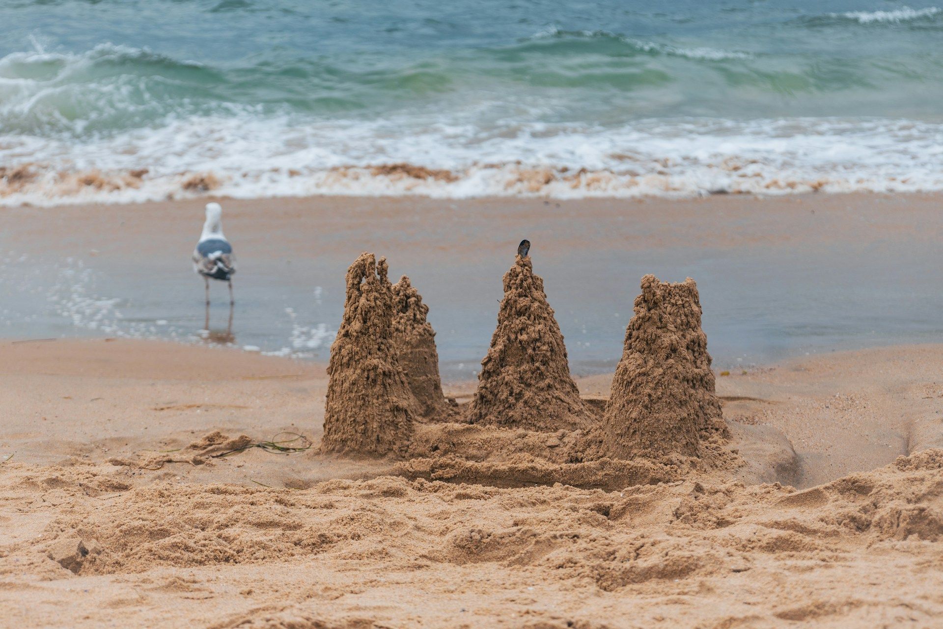 A sand castle on a beach with a seagull in the background