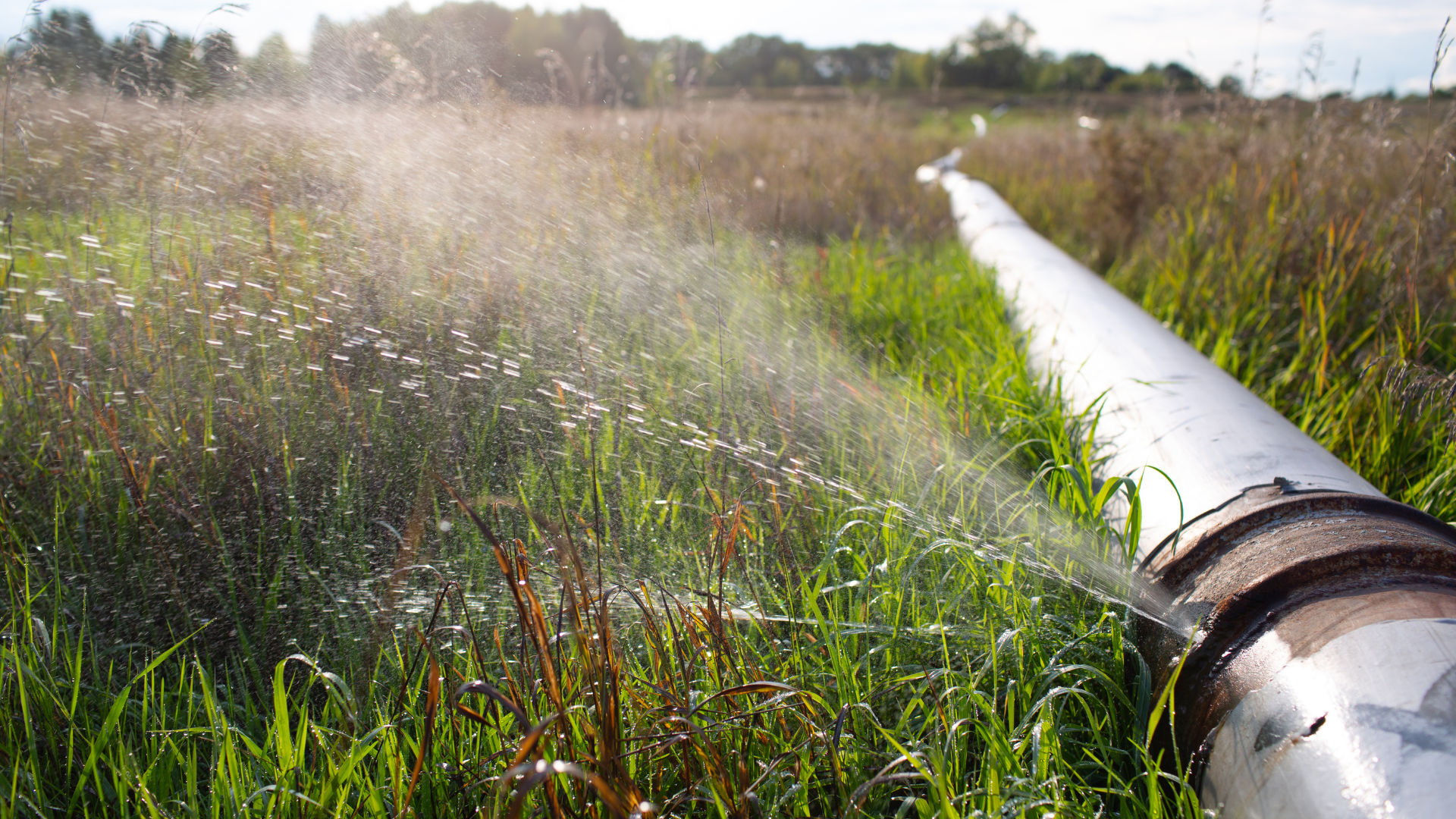 A water pipe is leaking water in a field.