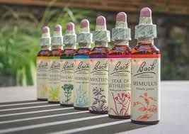 Biodescodificación.