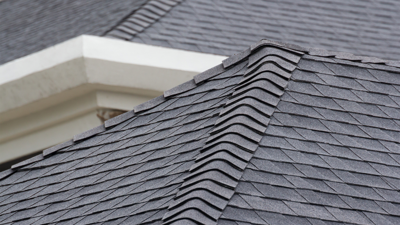 Close-up of a dark gray shingle roof. White architectural detail in background.