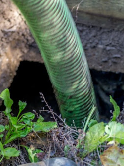 Dahlonega septic tank services