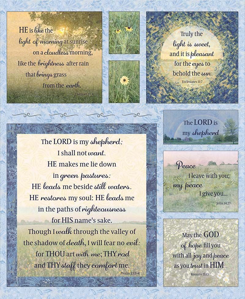 PANELJT-CD4389  PASTURE