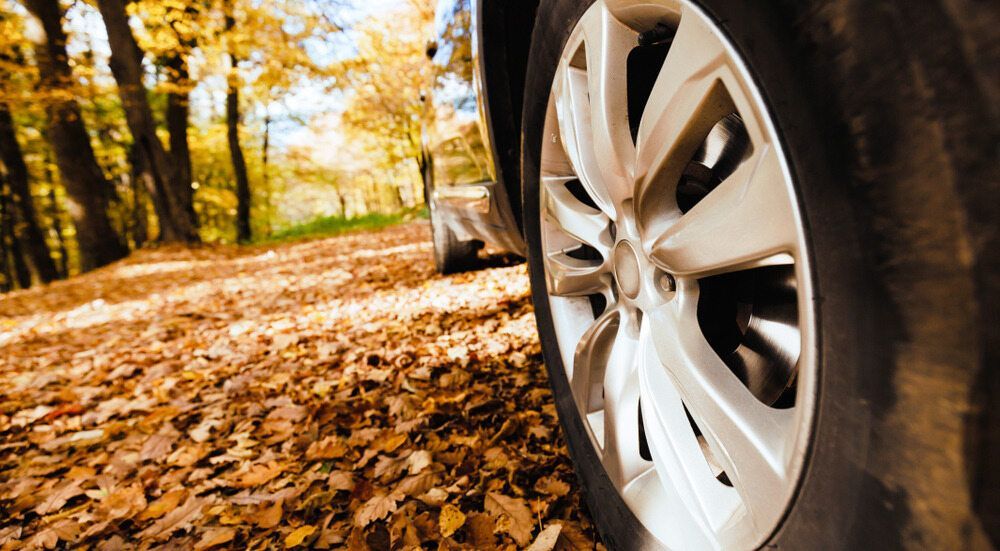 Car Tire on a Road Covered in Autumn Leaves — Cairns Tyre Specialists In Cairns City, QLD