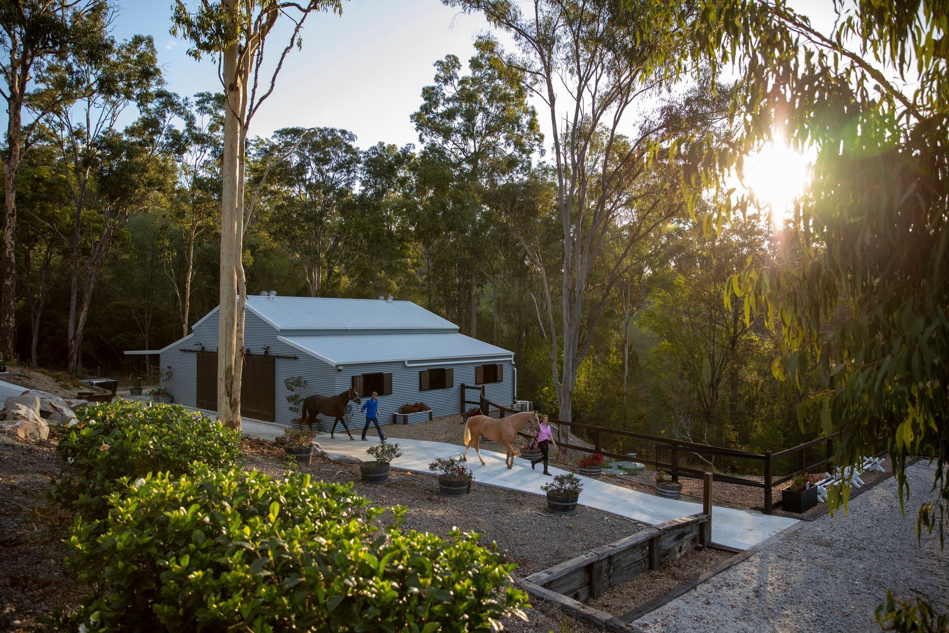 Horse stable at dusk. People lead horses out of the building. Sun shines through trees.