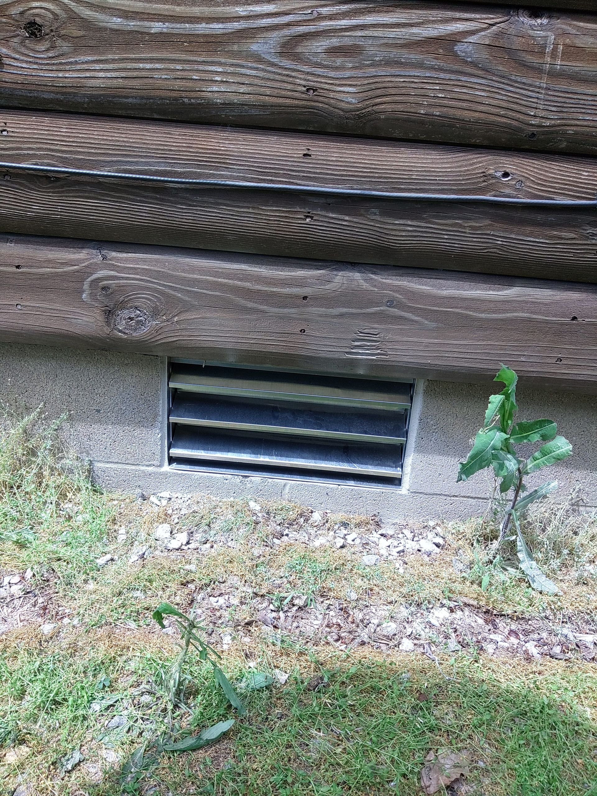 A small plant is growing out of the ground next to a wooden wall.