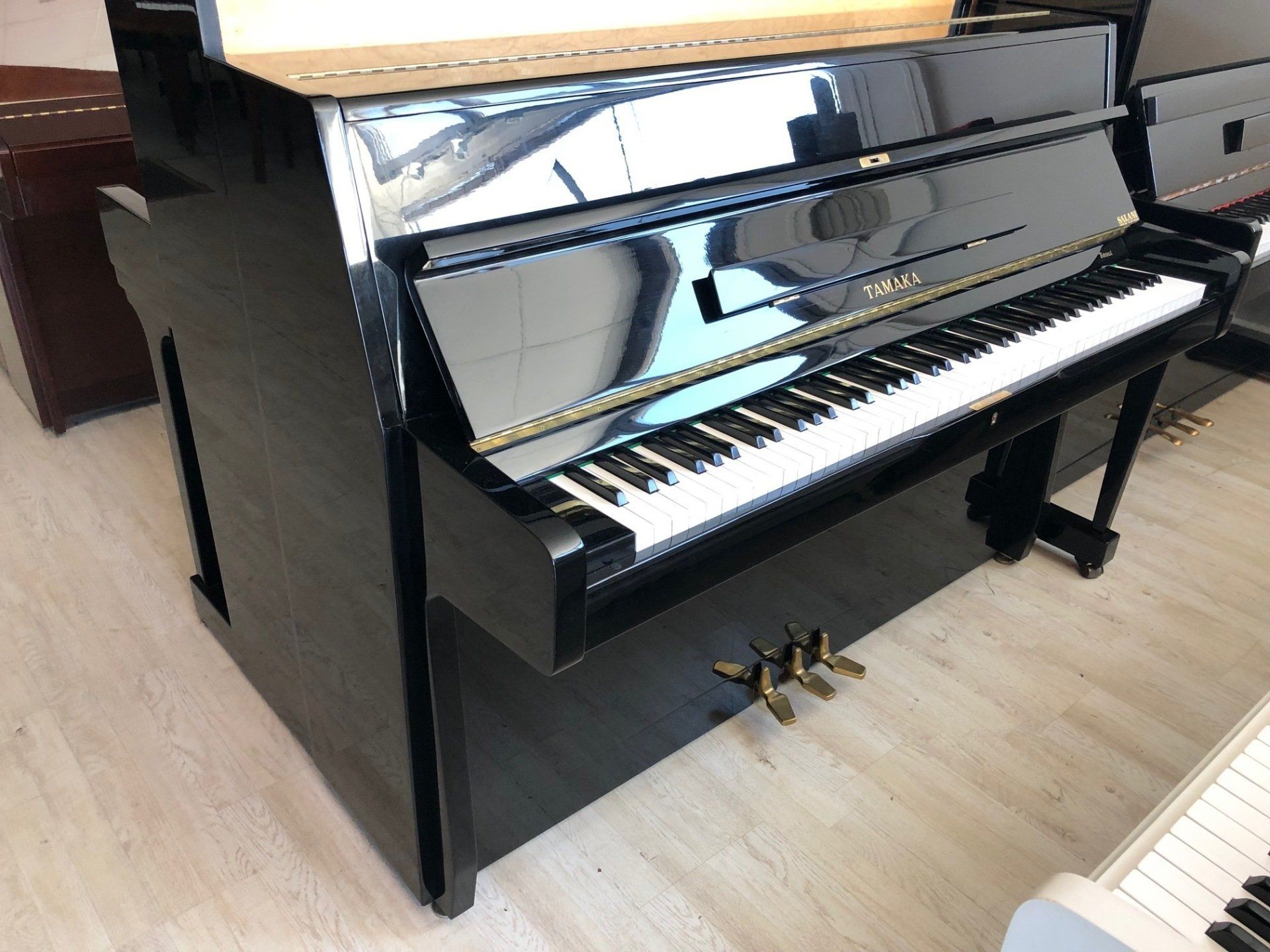 Pianoforte di dimensioni ridotte | Cento, FE | Salani Pianoforti