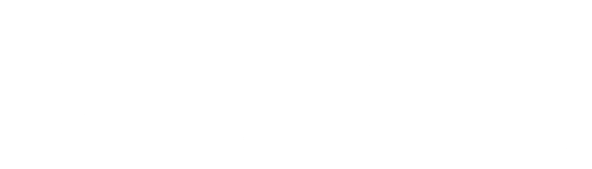 A white background with a few lines on it