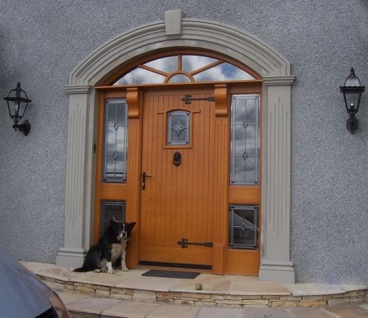 A dog sits in front of a wooden door