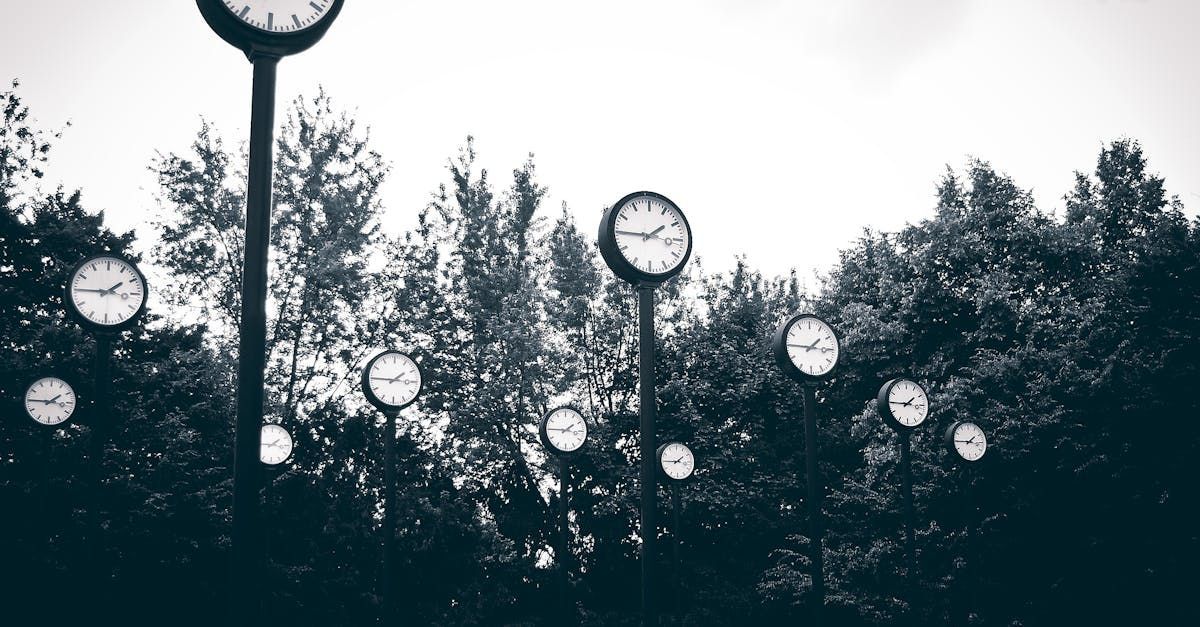 A black and white photo of a bunch of clocks in a park