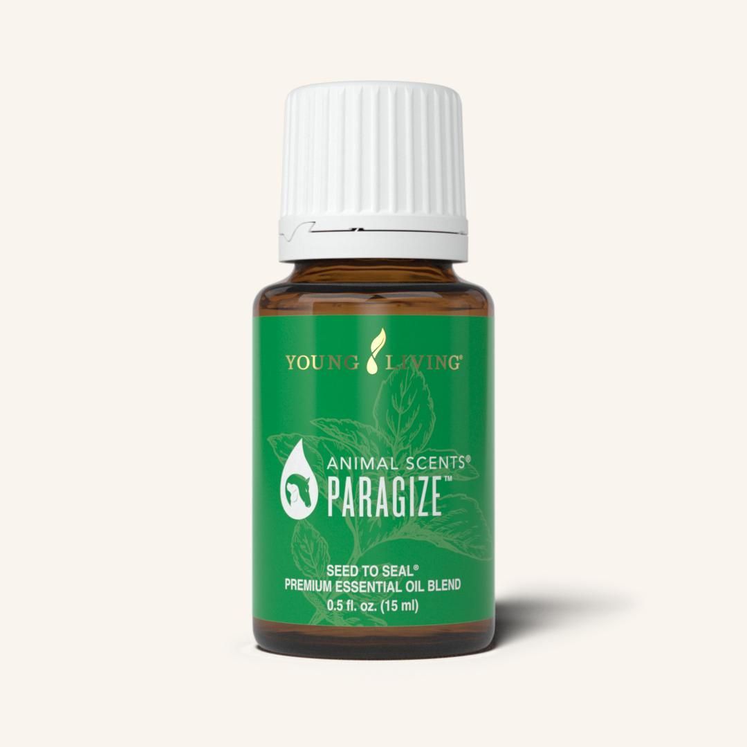 paragize gut health for pets