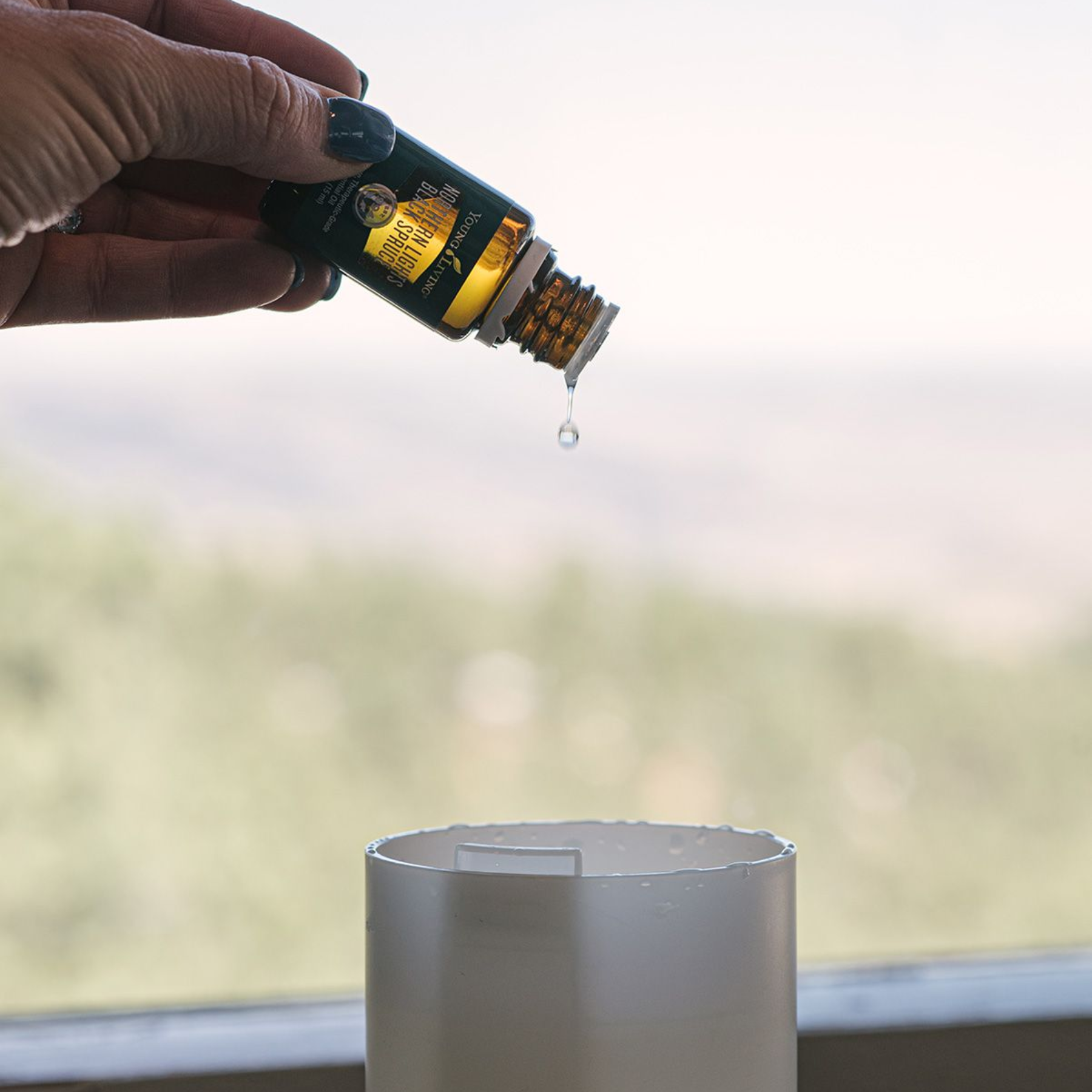 essential oil diffuser oils air purification