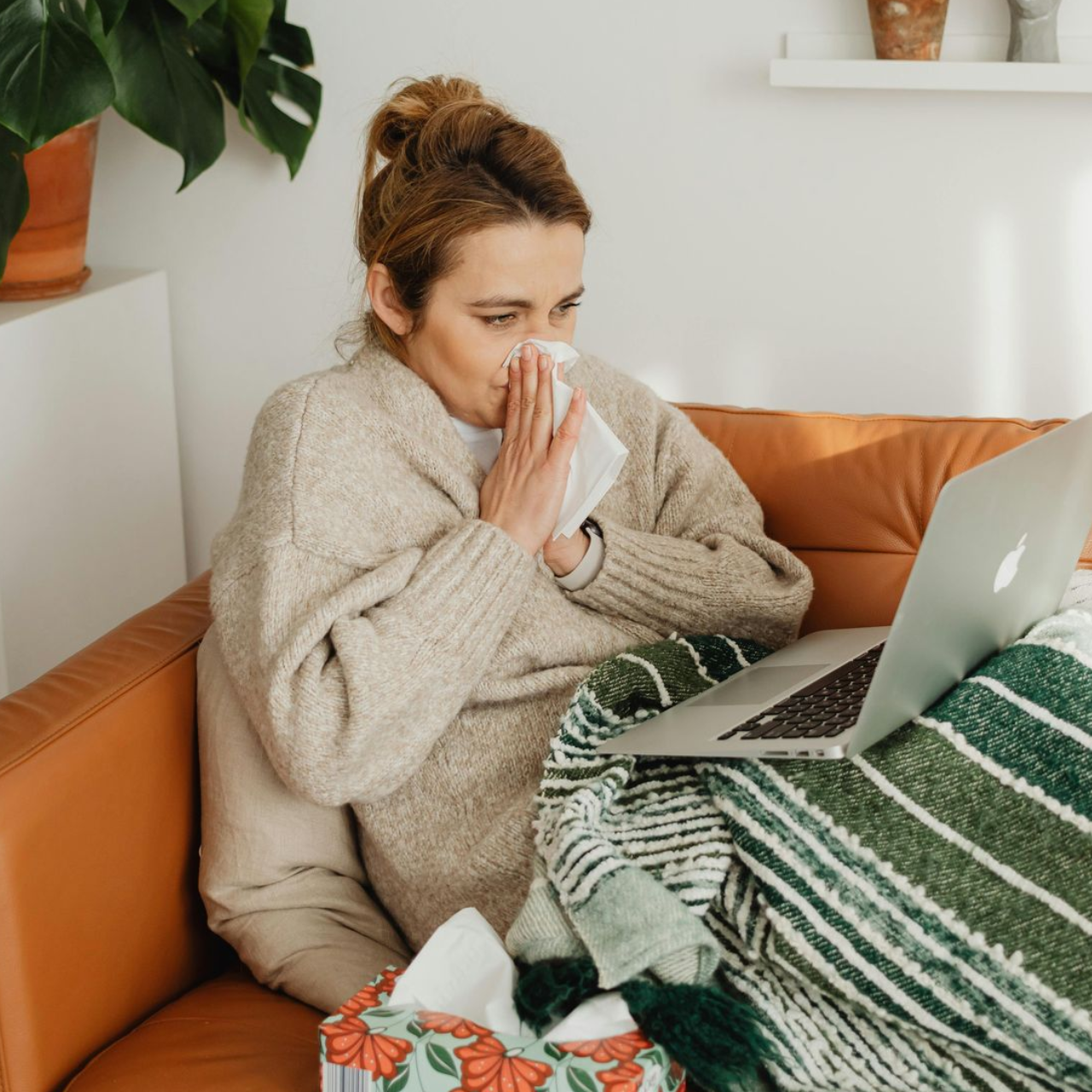 adult immune support natural remedies supplements