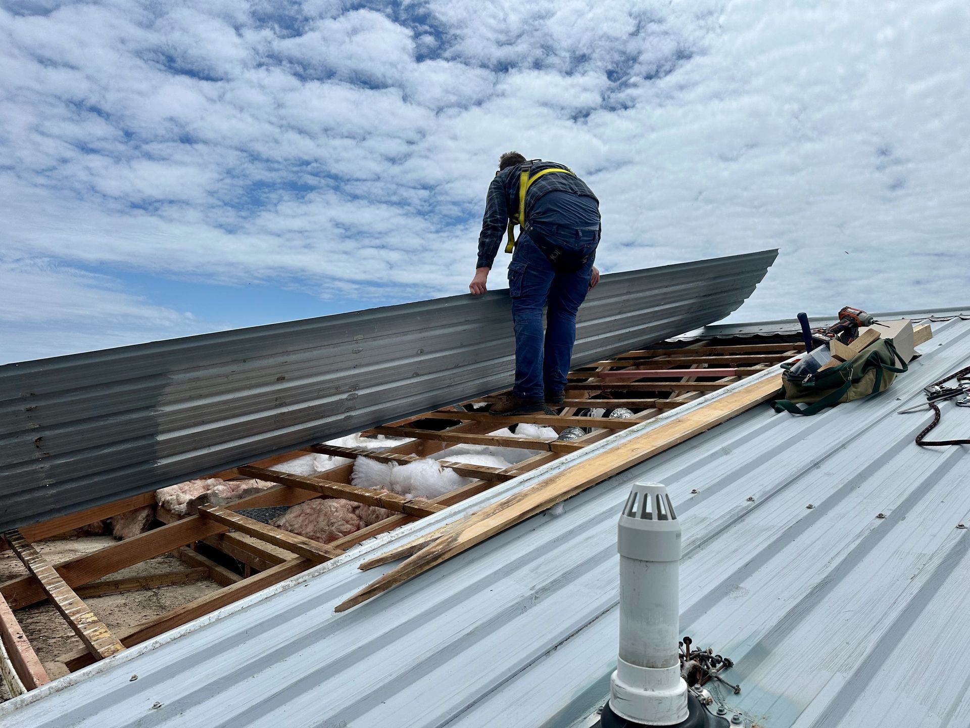 Roofing worker rep-lacing metal longrun roof on a house.