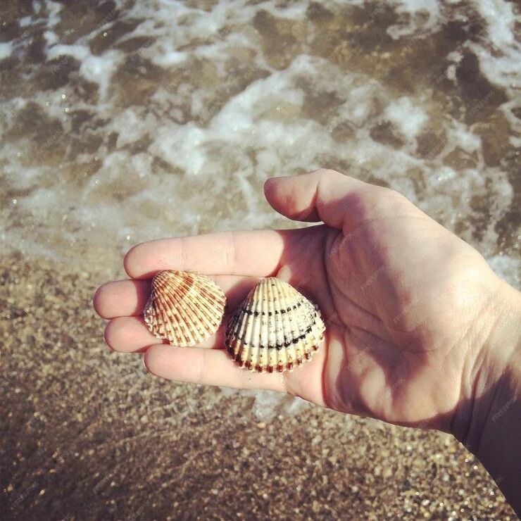 Hand holding two seashells at the beach with water and sand in the background.