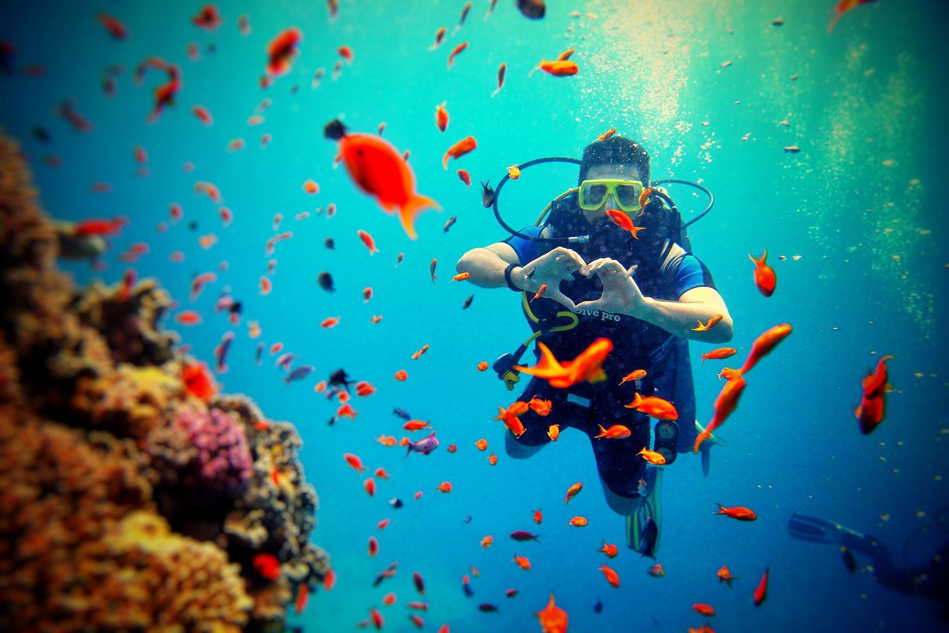 Scuba diver swimming over a coral reef surrounded by bright orange fish in clear blue water