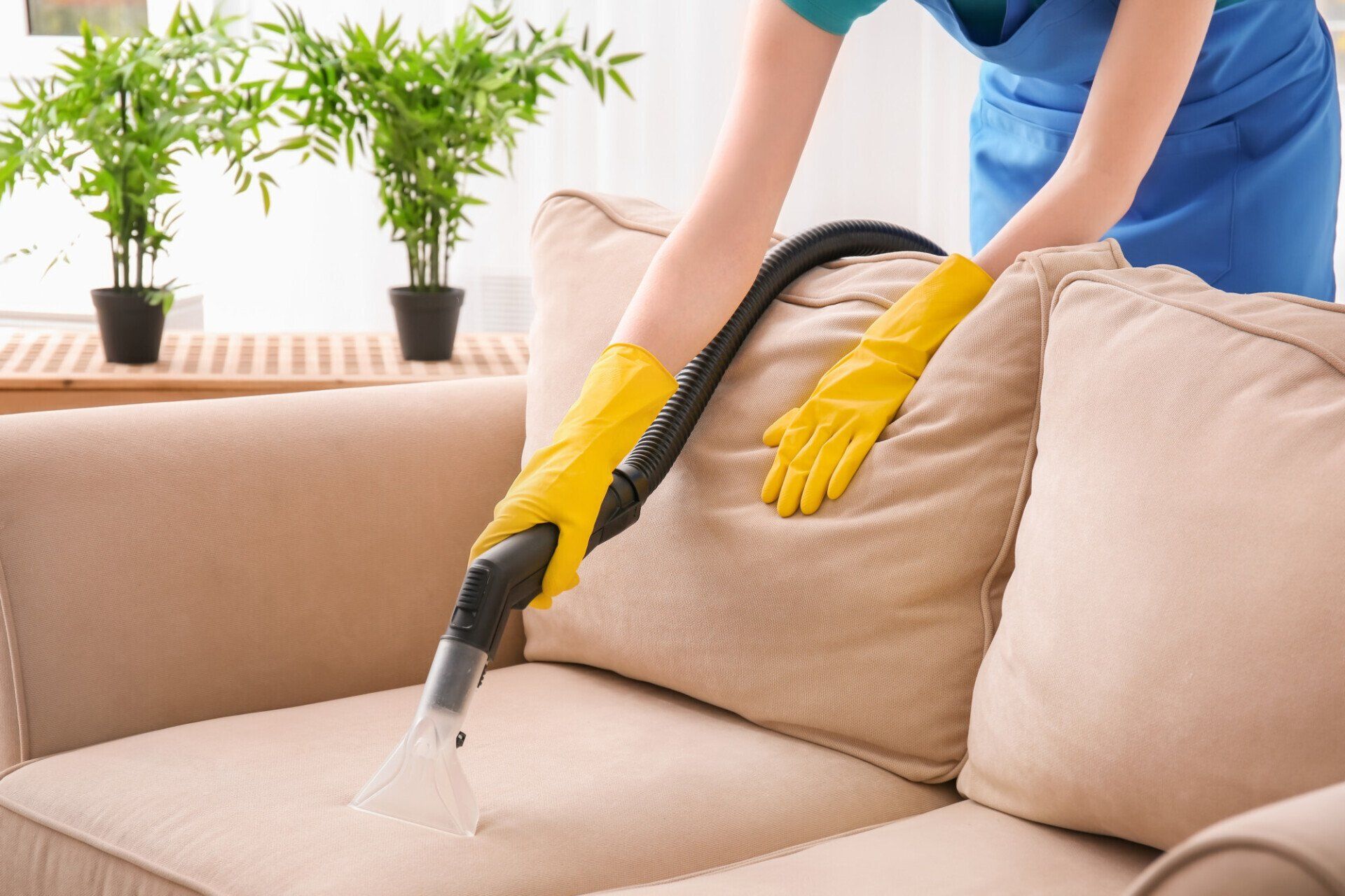 Efficiently using a vacuum cleaner to clean and refresh a couch at home.