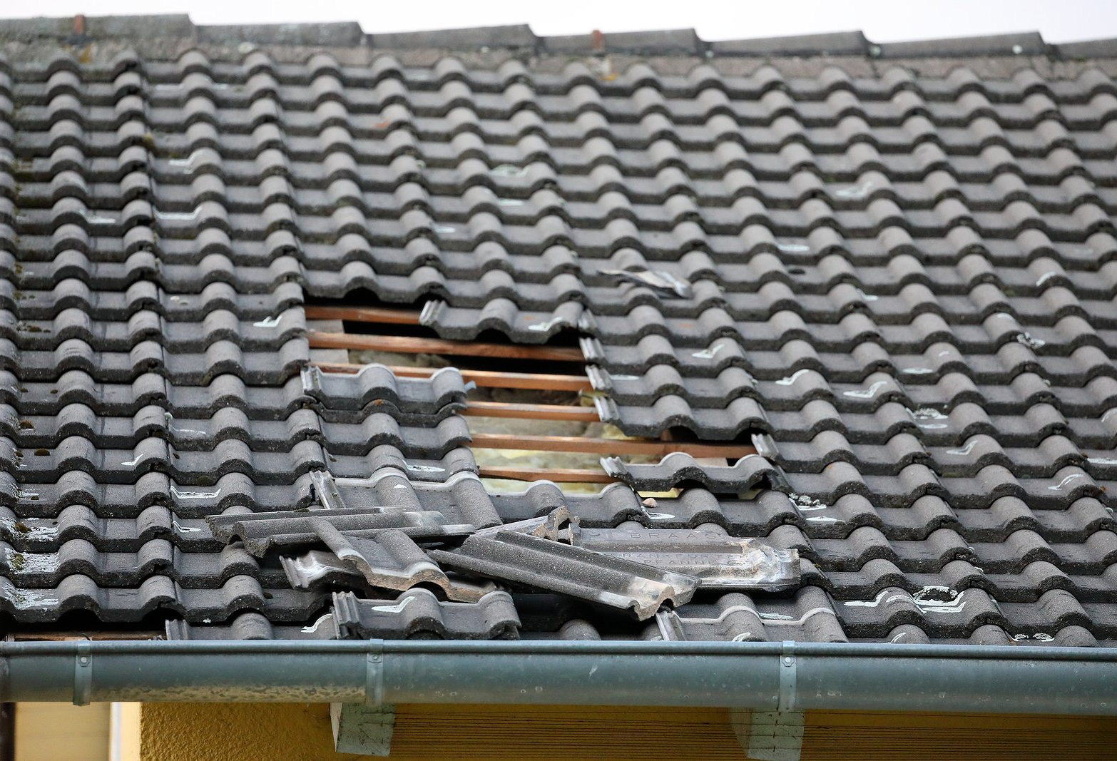Roof Repair Services Near You