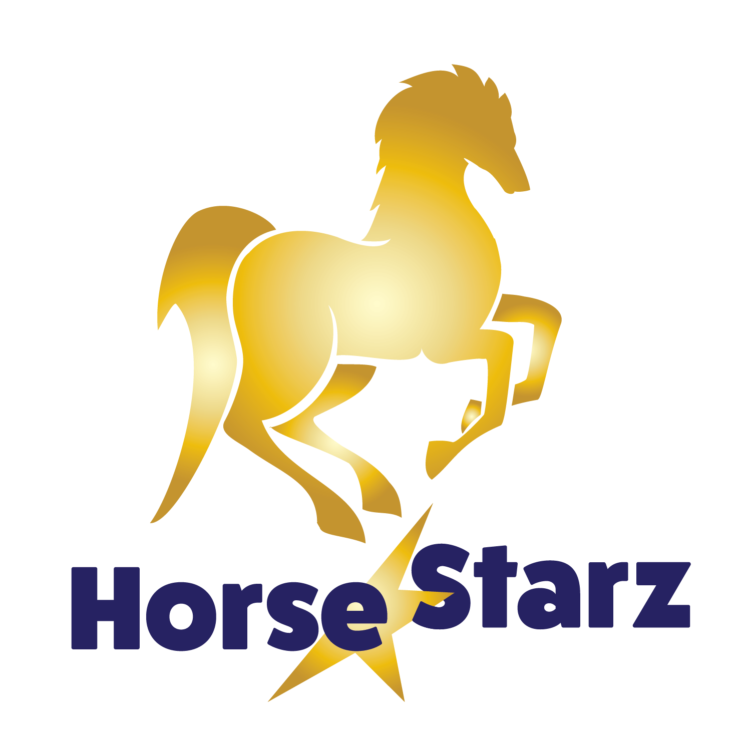 Championship Horse Show Accessories