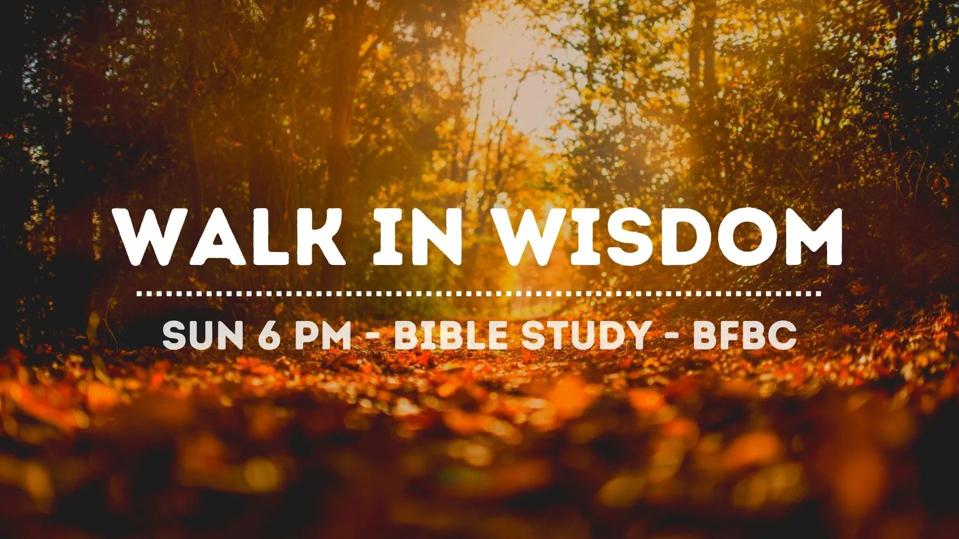 A poster for a walk in wisdom bible study.