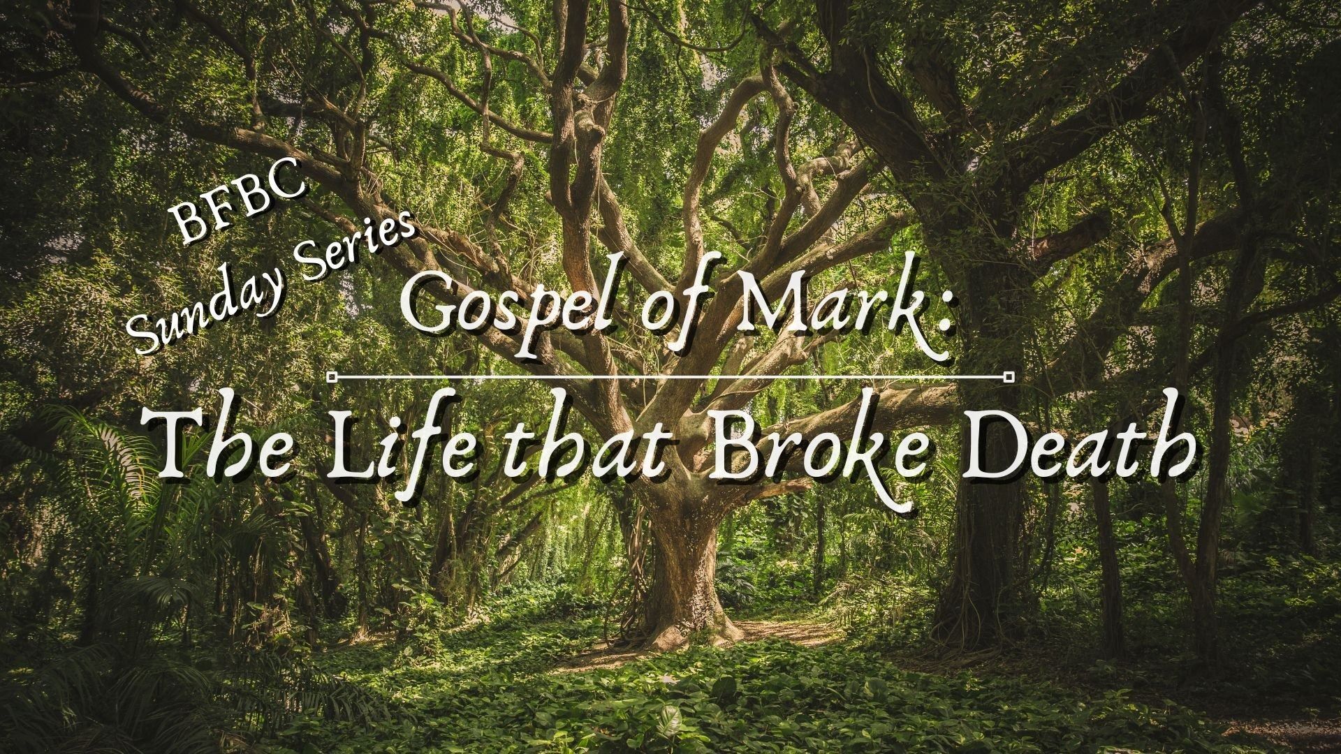 The Gospel of Mark Sunday Series