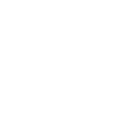 Icona-Piatti di gastronomia vegana